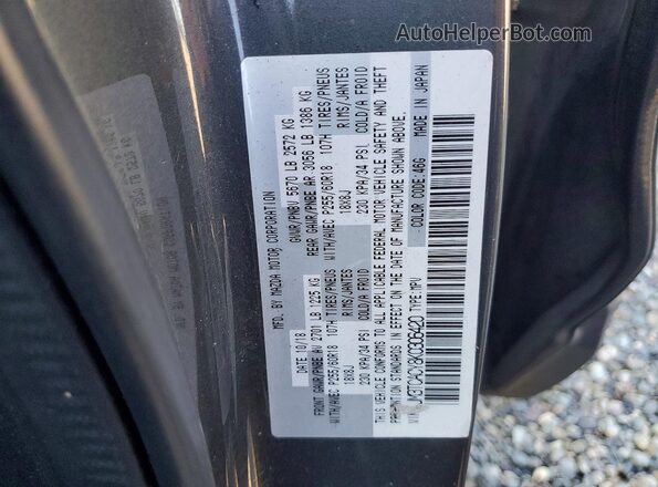 JM3TCACY8K0306420 2019 MAZDA CX-9 Серый Вид наклейки с VIN-кодом