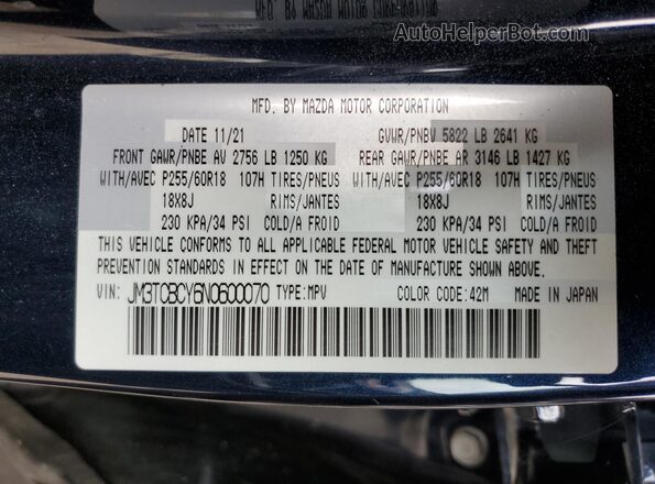 JM3TCBCY6N0600070 2022 MAZDA CX-9 Blue 