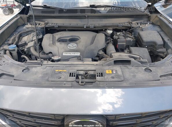 JM3TCBDY0M0506912 2021 MAZDA CX-9 Blue Rear view
