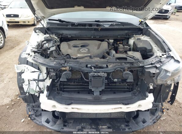 JM3TCBDY3K0323730 2019 MAZDA CX-9 Белый Вид сзади