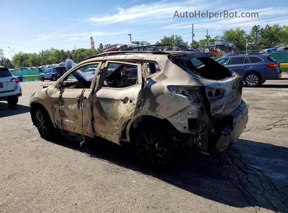 JN1BJ1CP4HW009736 2017 NISSAN ROGUE Burn Հետևի ձախ