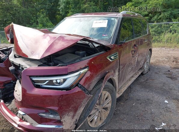 JN8AZ2AF6M9715024 2021 INFINITI QX80 Red 