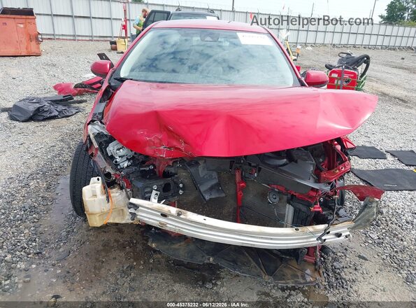 JTDEPRAE7LJ104225 2020 TOYOTA COROLLA Темно-бордовый Вид задней части салона