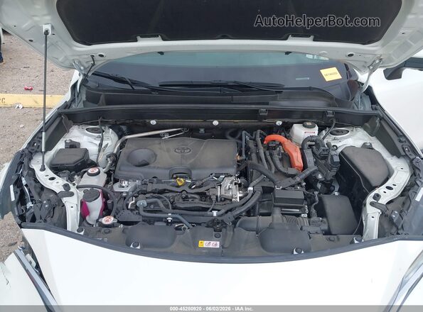 JTEAAAAH1MJ056956 2021 TOYOTA VENZA White Rear view