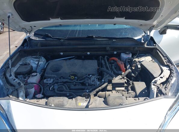 JTEAAAAH2MJ046856 2021 TOYOTA VENZA Белый Вид сзади