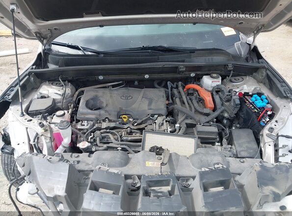 JTEAAAAH2MJ053855 2021 TOYOTA VENZA Beige Вид ззаду