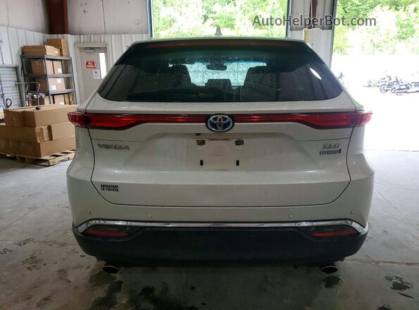 JTEAAAAH3MJ022503 2021 TOYOTA VENZA White Вид ззаду