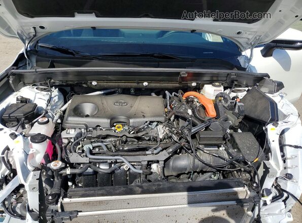 JTEAAAAH4PJ148406 2023 TOYOTA VENZA White 