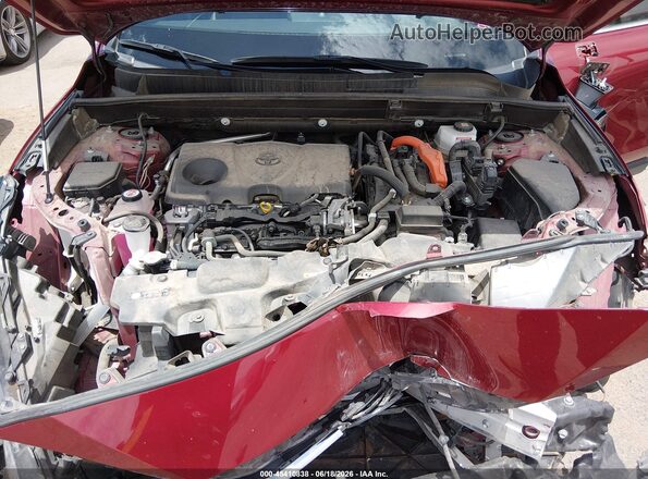 JTEAAAAH5MJ067569 2021 TOYOTA VENZA Burgundy უკანა ხედი
