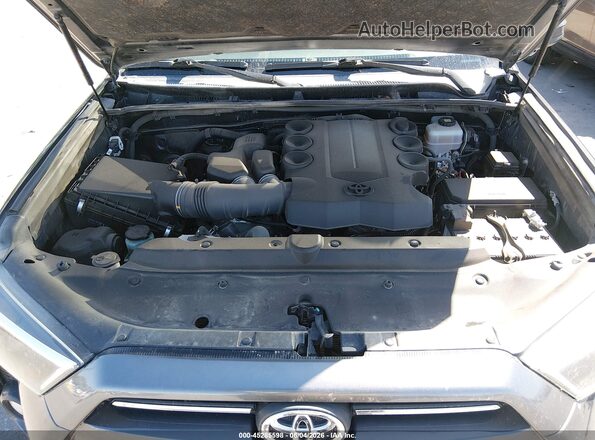 JTEBU5JR5L5816258 2020 TOYOTA 4RUNNER Gray უკანა ხედი