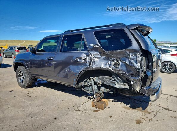 JTEBU5JR8K5669237 2019 TOYOTA 4RUNNER Gray Հետևի ձախ