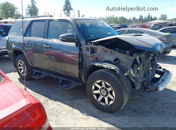 JTEBU5JR9K5699007 2019 TOYOTA 4RUNNER Серый Панорамный вид салона 360°