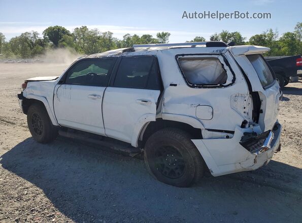 JTEEU5JR0P5301719 2023 TOYOTA 4RUNNER White უკანა მარცხენა