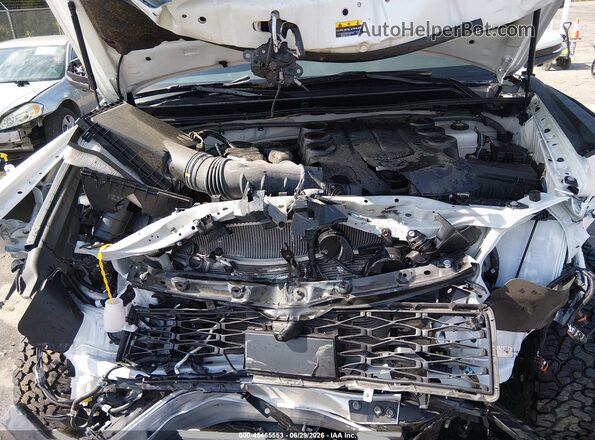 JTELU5JR5P6163497 2023 TOYOTA 4RUNNER White Rear view