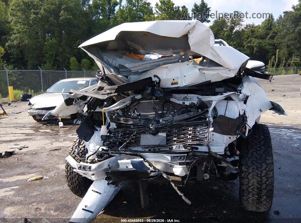 JTELU5JR5P6163497 2023 TOYOTA 4RUNNER White Rear interior view
