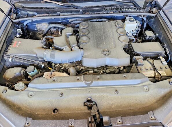 JTEMU5JR4R6239802 2024 TOYOTA 4RUNNER Gray 