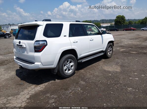 JTEMU5JR8M5958940 2021 TOYOTA 4RUNNER White უკანა მარჯვენა