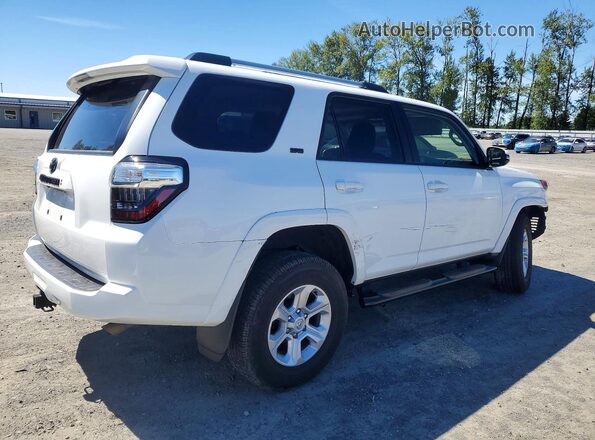 JTENU5JR1P6161822 2023 TOYOTA 4RUNNER White 