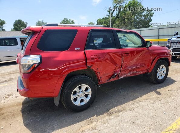 JTENU5JR2R6218466 2024 TOYOTA 4RUNNER Red Задня права чверть