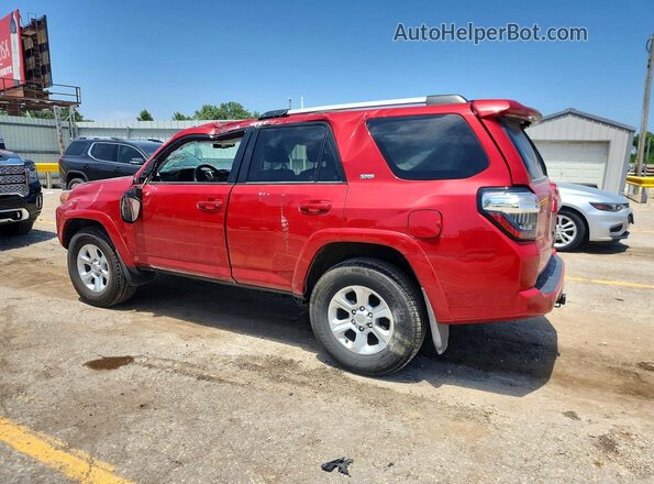 JTENU5JR2R6218466 2024 TOYOTA 4RUNNER Red Задня ліва чверть