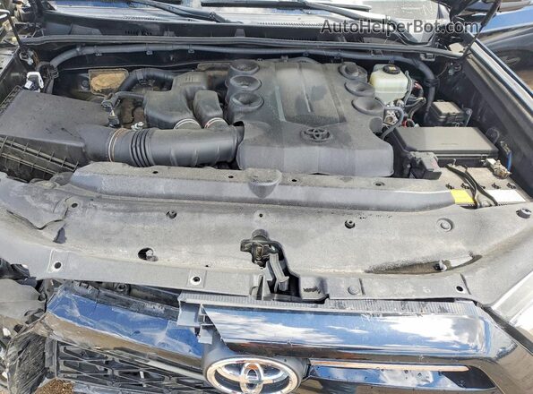 JTERU5JR0M5874889 2021 TOYOTA 4RUNNER Blue Вид задньої частини салону
