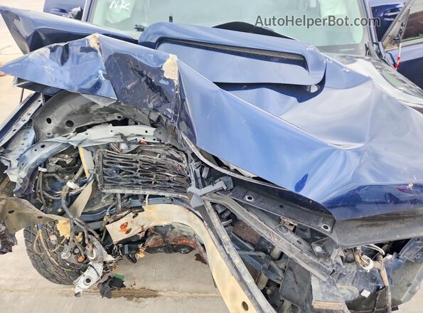 JTERU5JR0P6188902 2023 TOYOTA 4RUNNER Blue 