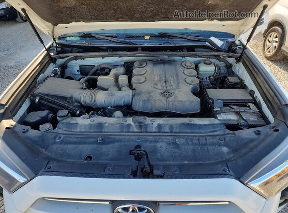 JTERU5JR1M5944268 2021 TOYOTA 4RUNNER White Շարժիչի բաժամունքի տեսք
