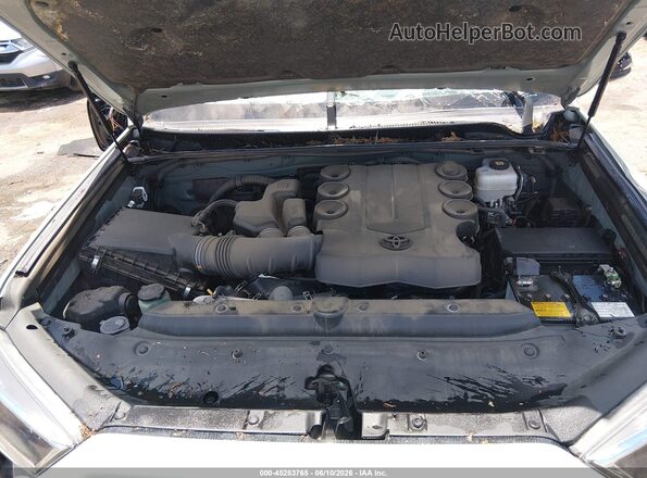 JTERU5JR8P6088773 2023 TOYOTA 4RUNNER Бирюзовый Вид сзади