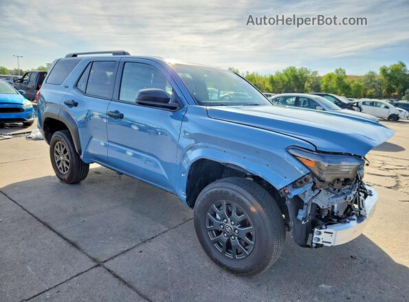 JTEVA5BR1S5040407 2025 TOYOTA 4RUNNER Blue Передня права чверть