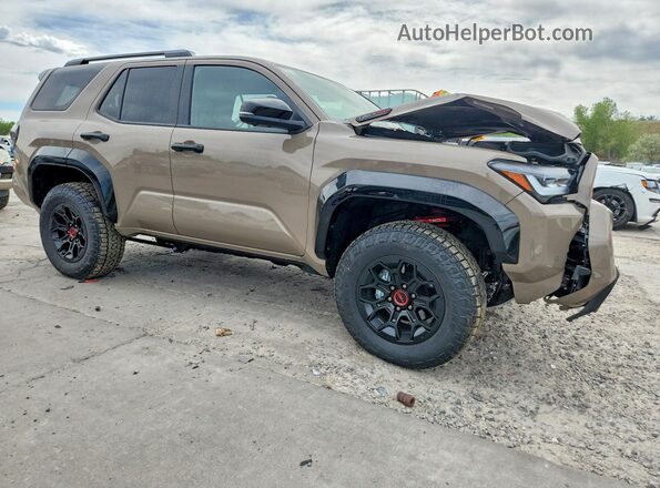 JTEVB5BR5S5017709 2025 TOYOTA 4RUNNER Brown Delantero derecho