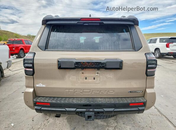 JTEVB5BR5S5017709 2025 TOYOTA 4RUNNER Brown Vista trasera