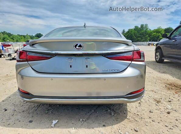 JTHB21B13K2029917 2019 LEXUS ES Gray უკანა ხედი