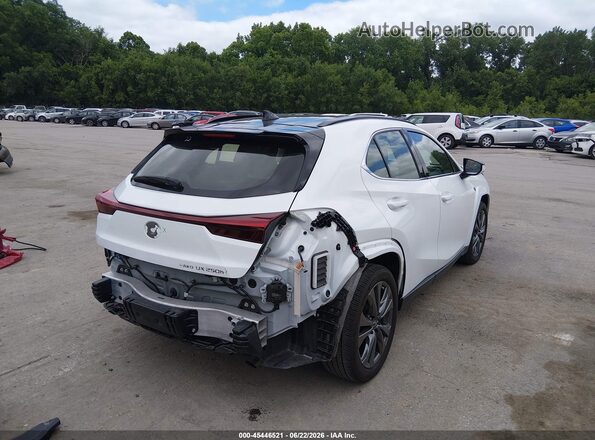 JTHB9JBH8P2067644 2023 LEXUS UX 250H White Rear right
