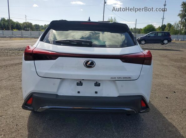 JTHB9JBHXR2076915 2024 LEXUS UX Белый Вид сзади