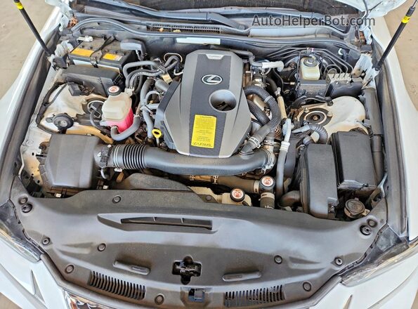 JTHBA1D28K5100505 2019 LEXUS IS Белый 