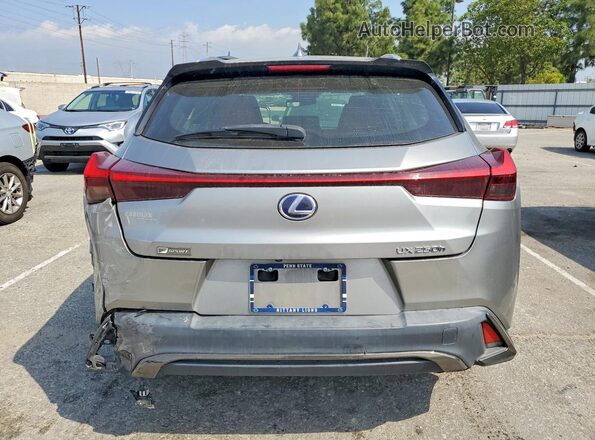 JTHE9JBH7L2033203 2020 LEXUS UX Gray Հետևի տեսք