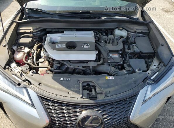 JTHE9JBH7L2033203 2020 LEXUS UX Gray Սալոնի հետևի տեսք