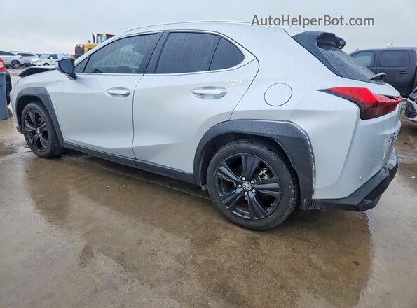 JTHP3JBH2L2026251 2020 LEXUS UX Silver Задня ліва чверть