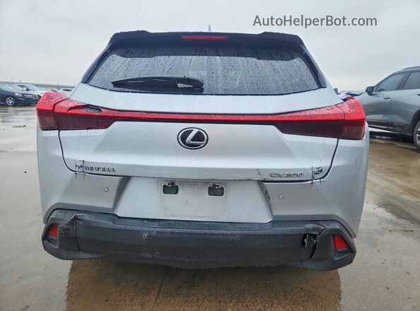 JTHP3JBH2L2026251 2020 LEXUS UX Silver Вид ззаду