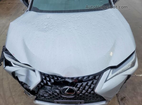 JTHP3JBH2L2026251 2020 LEXUS UX Silver Вид задньої частини салону