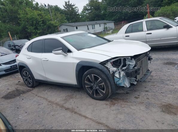 JTHP3JBH2M2043519 2021 LEXUS UX 200 Белый Панорамный вид салона 360°