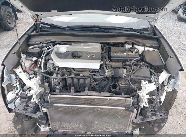 JTHP3JBH2M2043519 2021 LEXUS UX 200 Белый Вид сзади