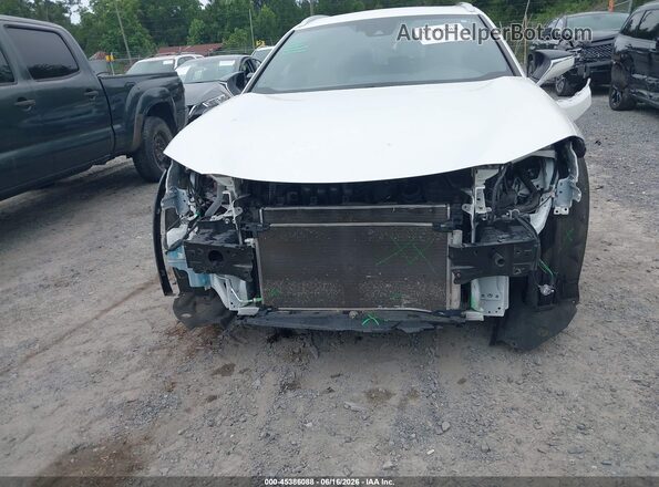 JTHP3JBH2M2043519 2021 LEXUS UX 200 Белый Вид спереди