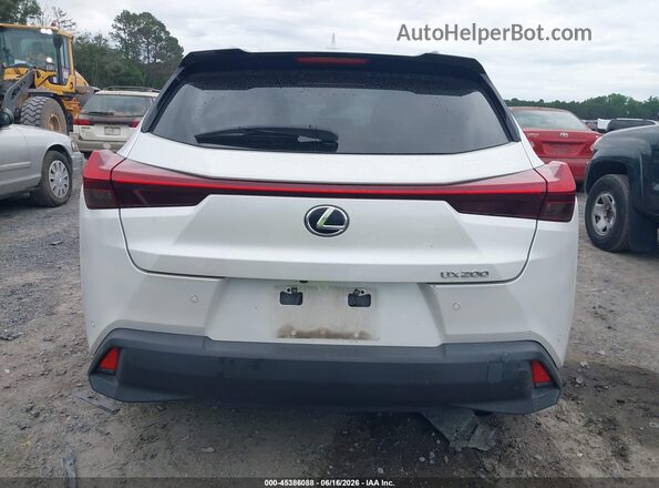 JTHP3JBH2M2043519 2021 LEXUS UX 200 Белый 