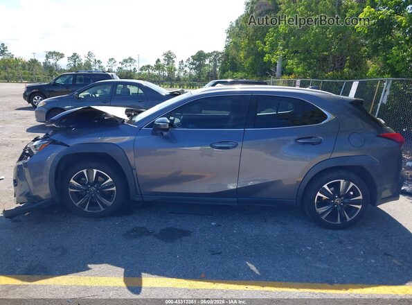 JTHP3JBH4M2033462 2021 LEXUS UX 200 Gray 