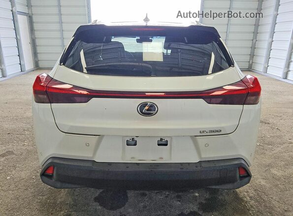 JTHP3JBH6L2026270 2020 LEXUS UX White უკანა ხედი
