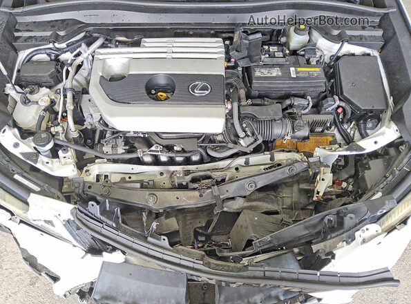 JTHP3JBH6L2026270 2020 LEXUS UX White უკანა სალონის ხედი