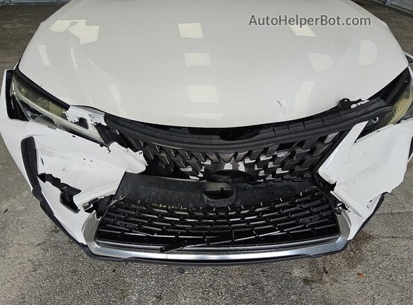 JTHP3JBH6L2026270 2020 LEXUS UX White 