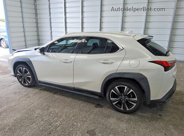 JTHP3JBH6L2026270 2020 LEXUS UX White უკანა მარცხენა