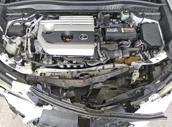 JTHP3JBH6L2026270 2020 LEXUS UX White სალონის 360-გრადუსიანი ხედი